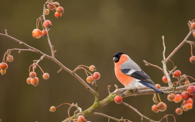 Aktuelle Informationen